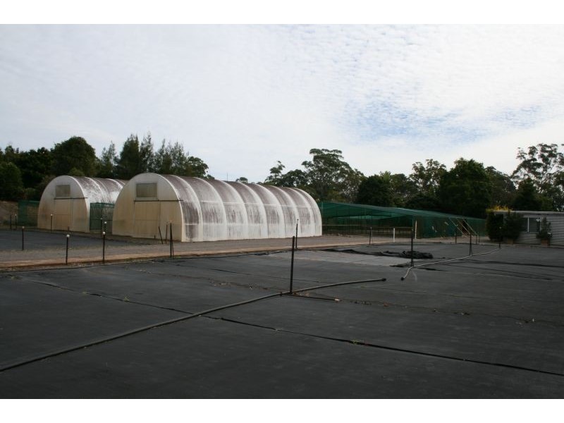 154 Holts Road, Cooroy QLD 4563