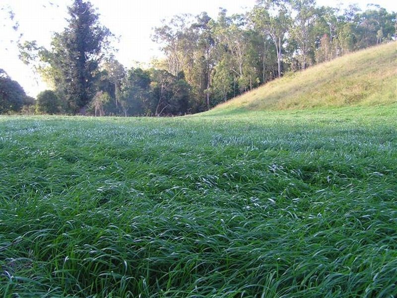 Gympie QLD 4570