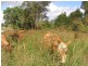 Gympie QLD 4570