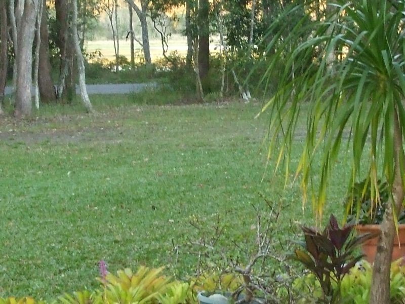 Cooroy QLD 4563