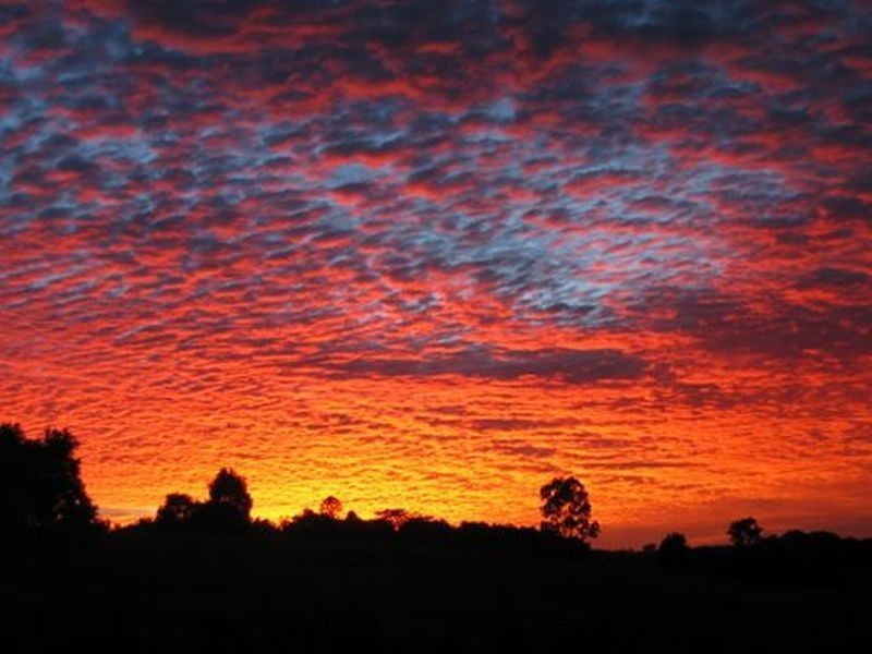 34 Sallwood Crt, Pomona QLD 4568