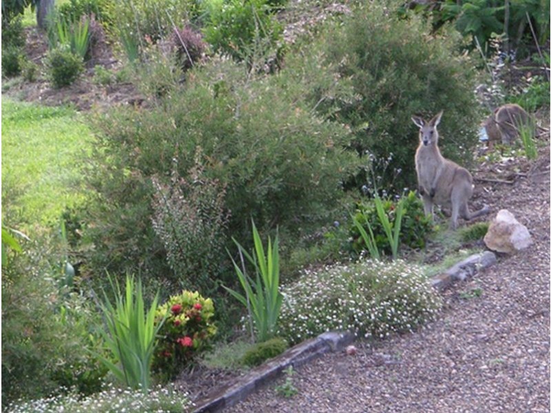 34 Sallwood Crt, Pomona QLD 4568