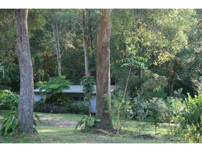 10 Lily Court, Doonan QLD 4562