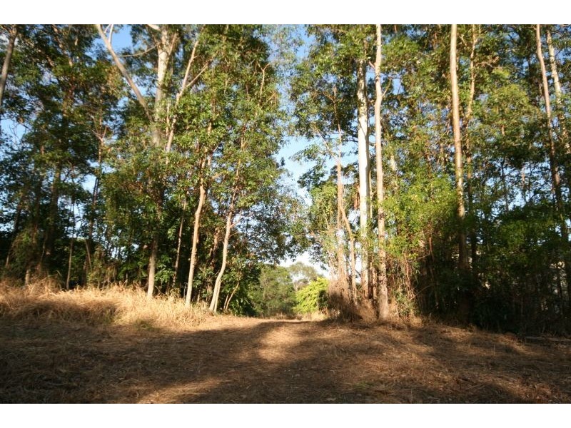 Tinbeerwah QLD 4563