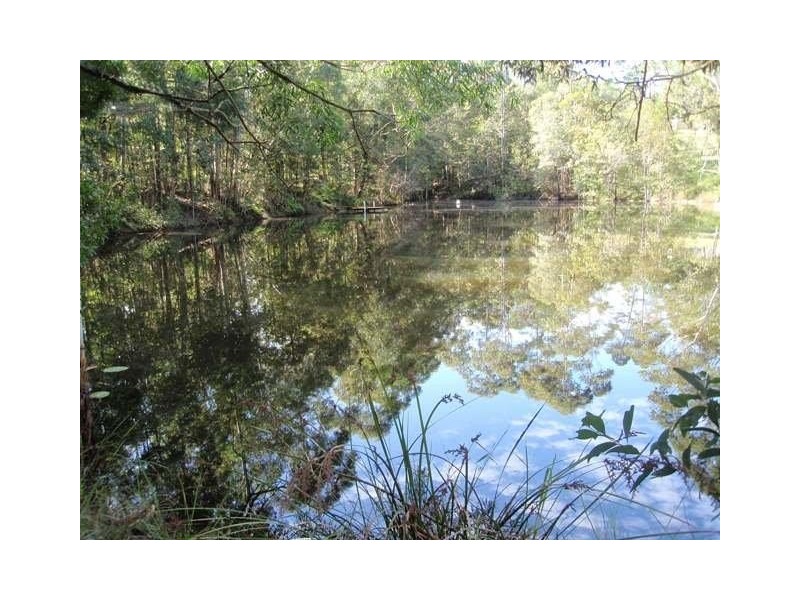 135 Forest Acres Drive, Cooroy QLD 4563
