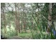 148 Musa Vale Road, Cooroy QLD 4563