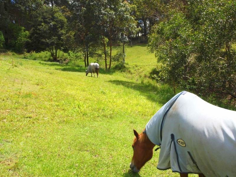 18 Mitchell Crt, Cooran QLD 4569