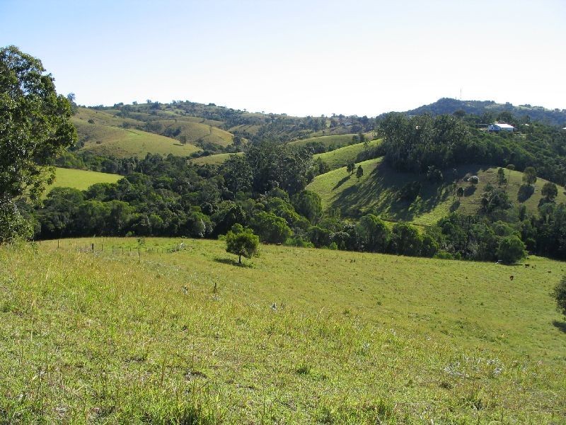 95 Evans Road, Cooroy QLD 4563