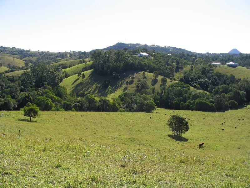 95 Evans Road, Cooroy QLD 4563