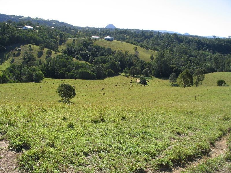 95 Evans Road, Cooroy QLD 4563