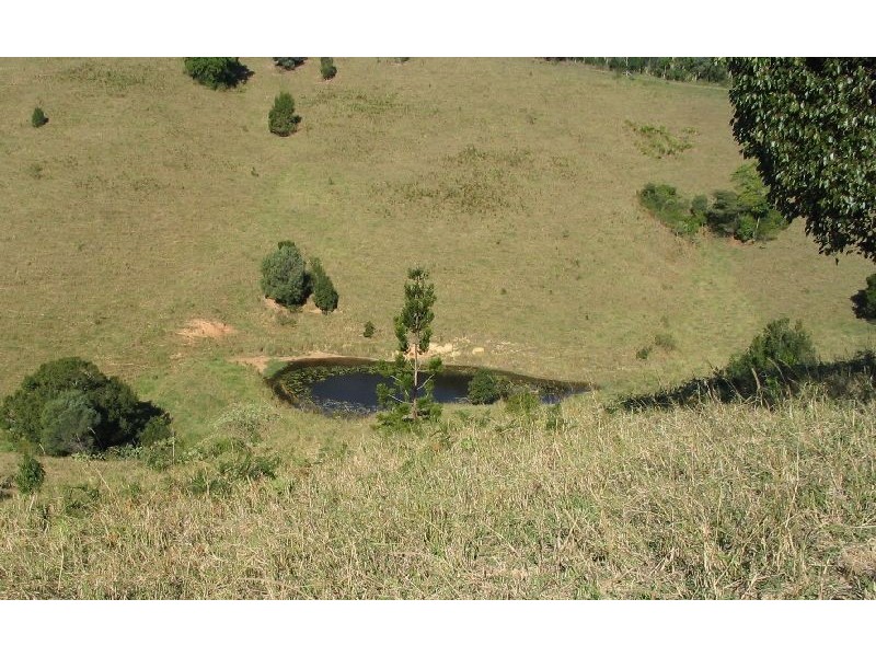 95 Evans Road, Cooroy QLD 4563