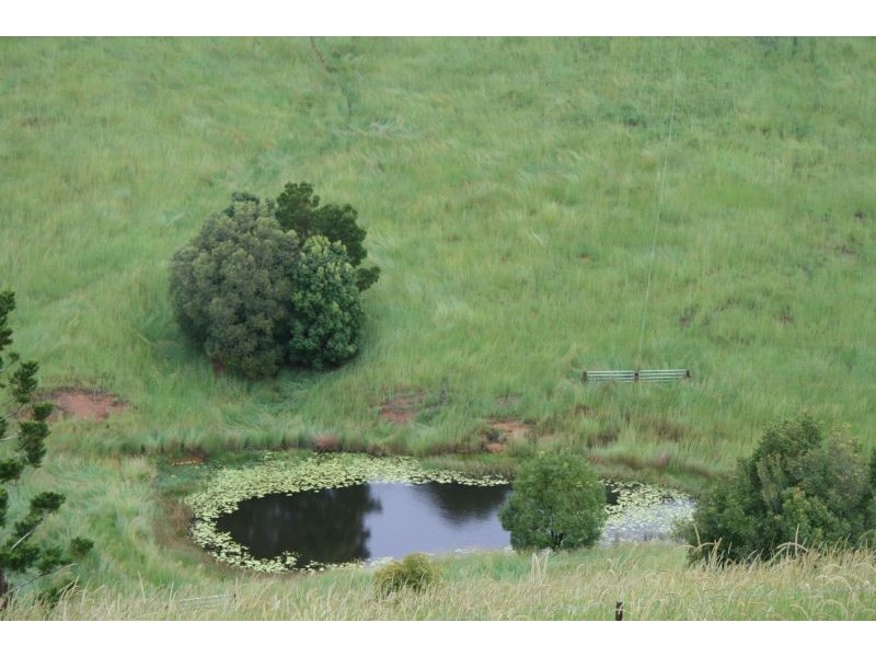 95 Evans Road, Cooroy QLD 4563