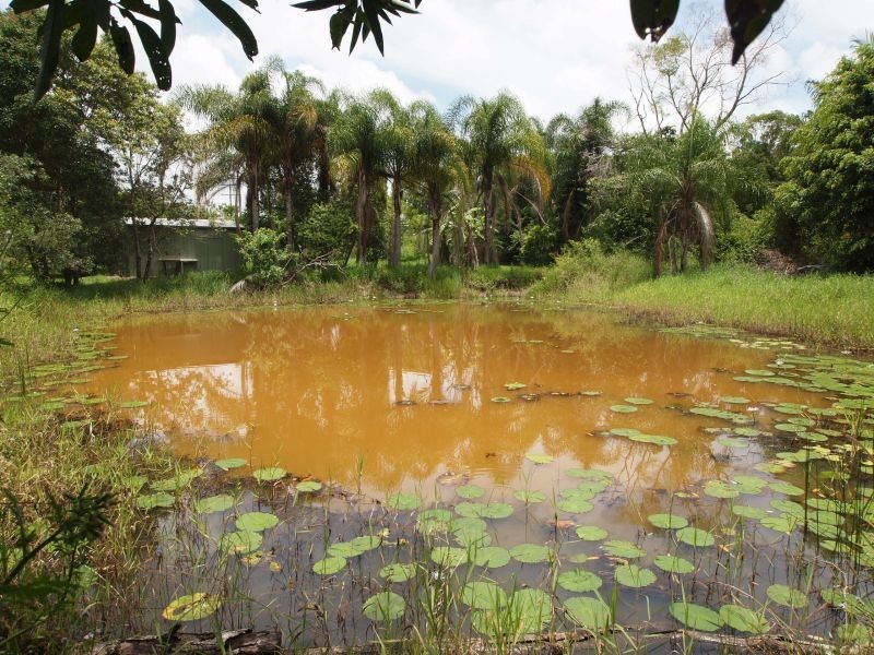 1096 Kin Kin Rd, Kin Kin QLD 4571