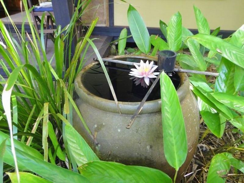 288 Kidd Rd, Pomona QLD 4568