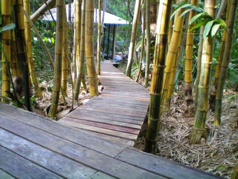 288 Kidd Rd, Pomona QLD 4568