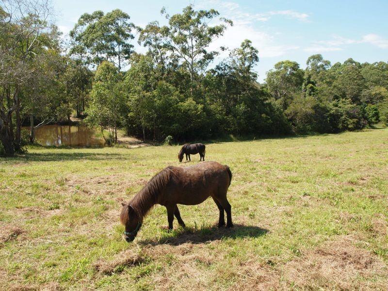 11 Hessen Pl, Pomona QLD 4568