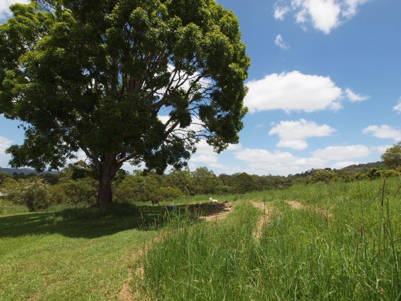 15 Risley Court, Cooran QLD 4569