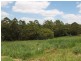 15 Risley Court, Cooran QLD 4569