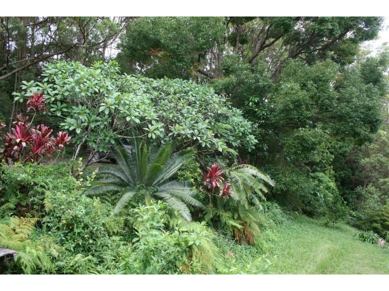 210 Musa Vale Road, Cooroy QLD 4563