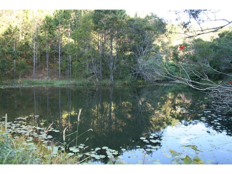 210 Musa Vale Road, Cooroy QLD 4563