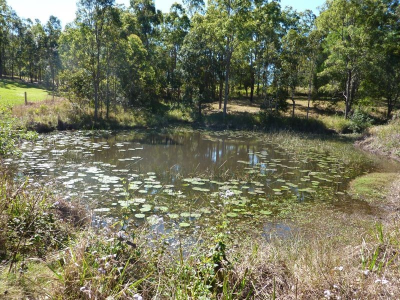 815 Kenilworth Skyring Creek Road, Cooroy QLD 4563