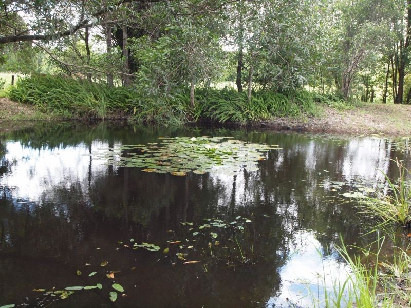 31 Tablelands Rd, Cooran QLD 4569