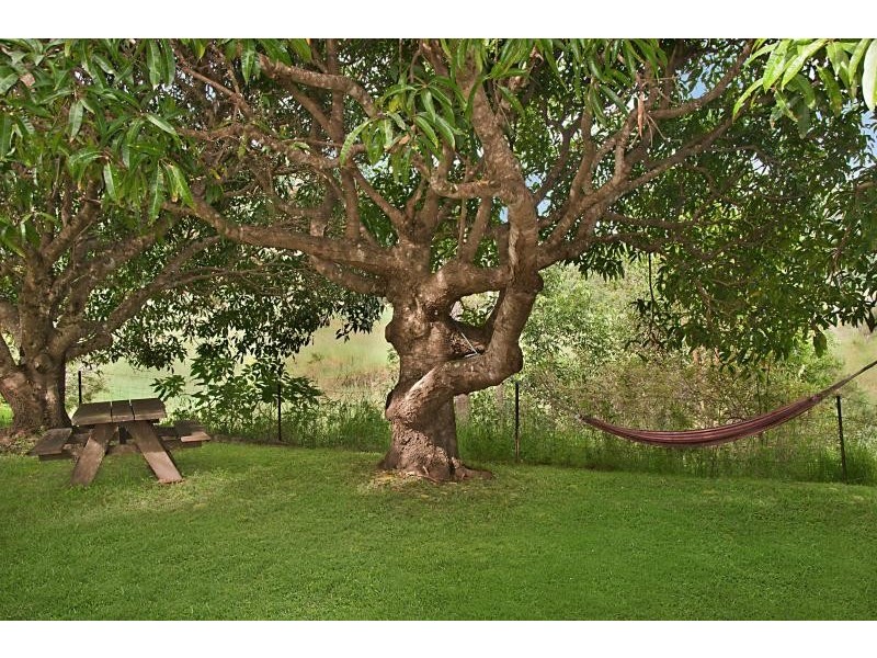 Eumundi QLD 4562