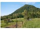 Eumundi QLD 4562
