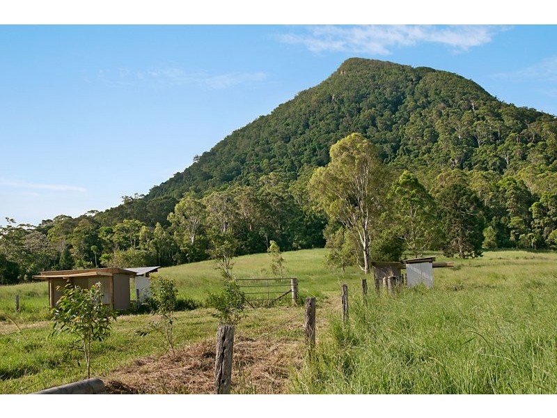 Eumundi QLD 4562