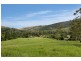 Eumundi QLD 4562