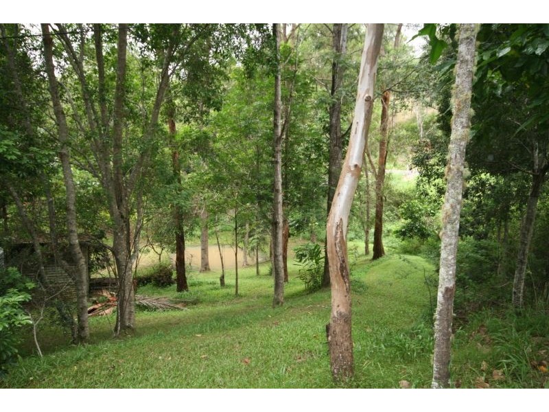 Cooroy QLD 4563