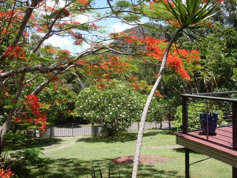 6 Albert St, Cooran QLD 4569