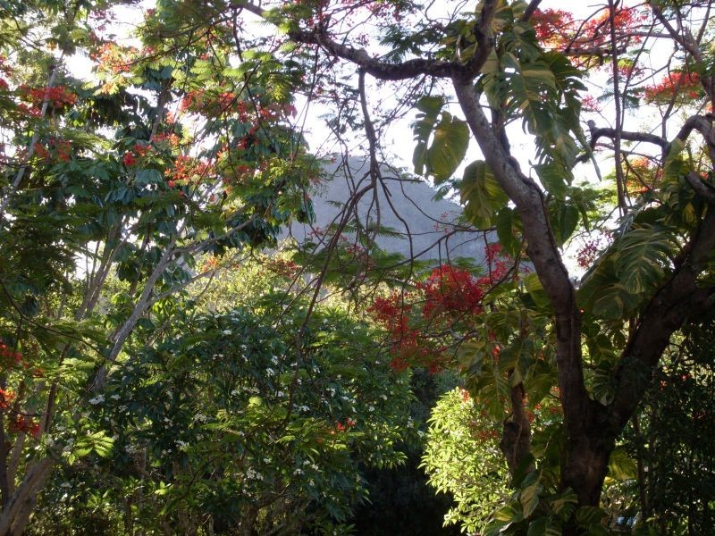 6 Albert St, Cooran QLD 4569