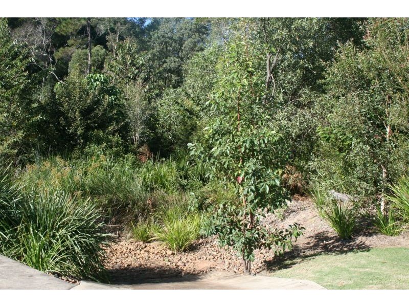 Lot 16 Brialka Court, Cooroy QLD 4563