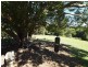 Pomona QLD 4568