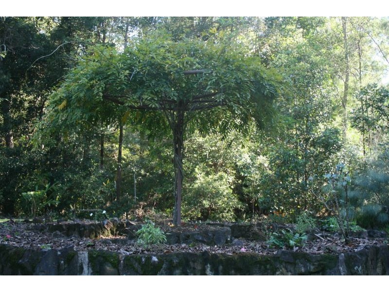 23 Forest Acres Drive, Cooroy QLD 4563