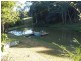 213 Black Pinch Road, Pomona QLD 4568