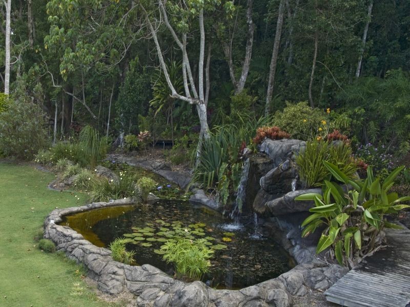 532 Black Mountain Road, Black Mountain QLD 4563
