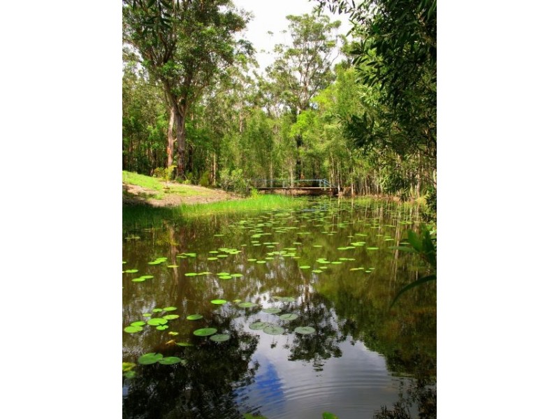 448 Lake Flat Road, Cootharaba QLD 4565