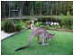 448 Lake Flat Road, Cootharaba QLD 4565