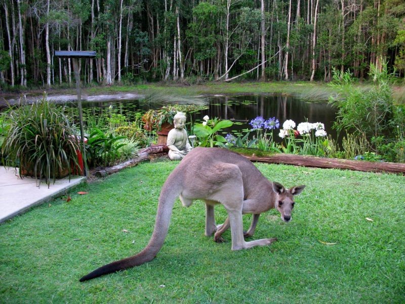 448 Lake Flat Road, Cootharaba QLD 4565