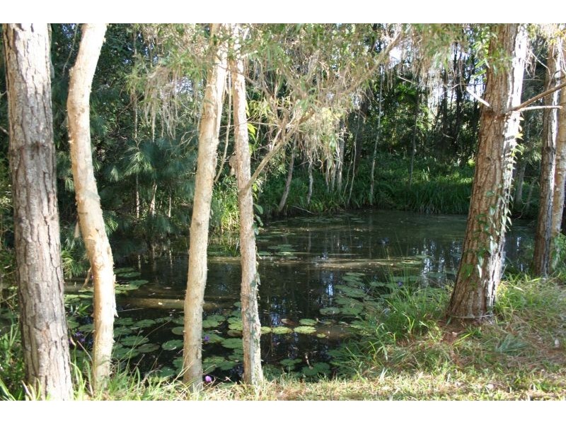 104 Nandroya Road, Cooroy QLD 4563