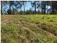 89 Highfield Rise, Pomona QLD 4568