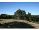 60 Stanfield Lane, Cooroy QLD 4563
