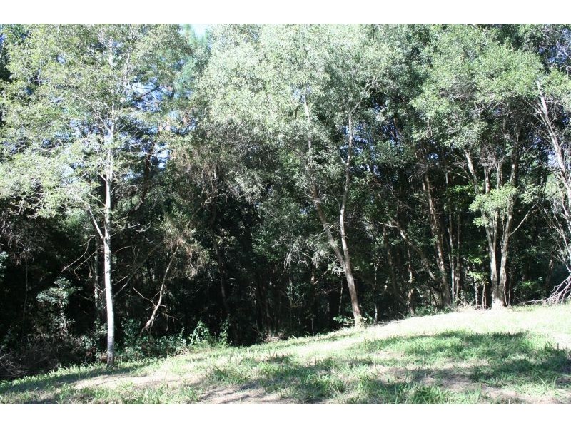 60 Stanfield Lane, Cooroy QLD 4563