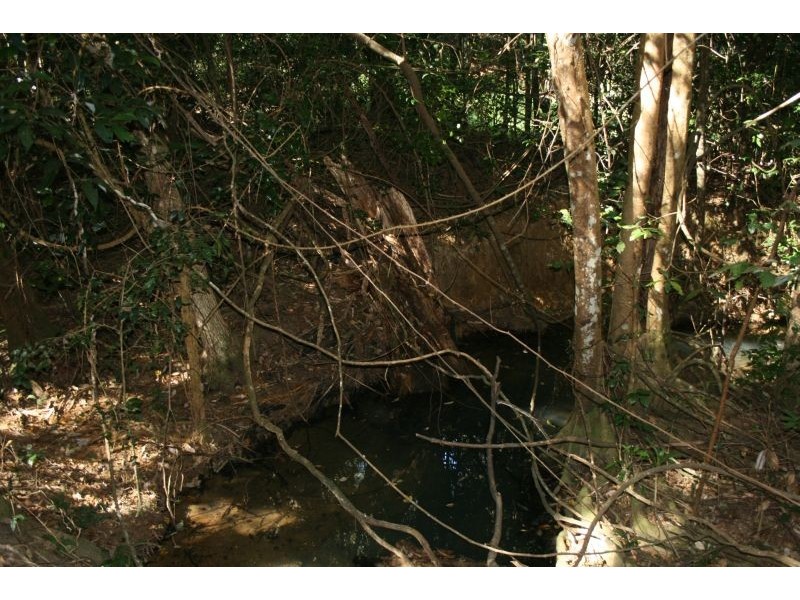 60 Stanfield Lane, Cooroy QLD 4563