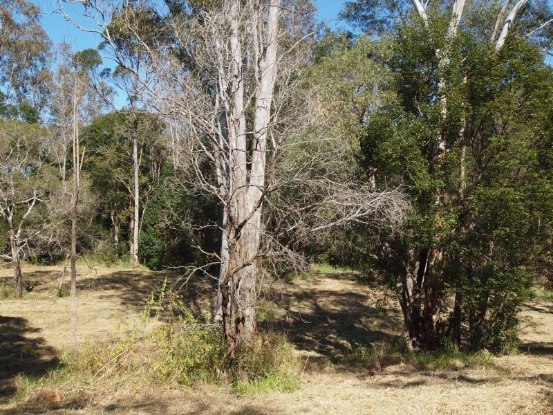 32 King Street, Cooran QLD 4569