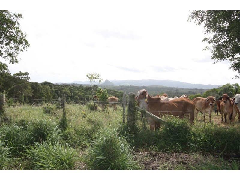 14 Sankeys Road, Pomona QLD 4568