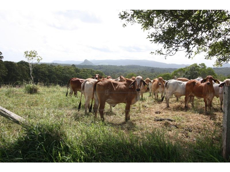 14 Sankeys Road, Pomona QLD 4568