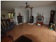 56 Driers Road, Cooran QLD 4569